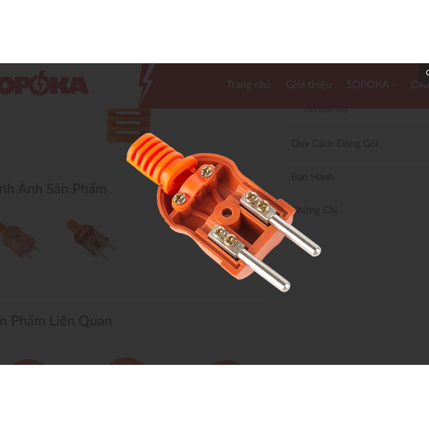 Phích cắm siêu chịu tải P3000W