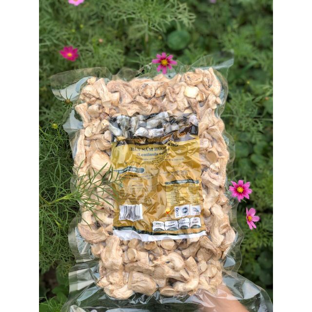 250G Ruốc nấm hương (chà bông nấm) Organic Phú Gia không đường | BigBuy360 - bigbuy360.vn
