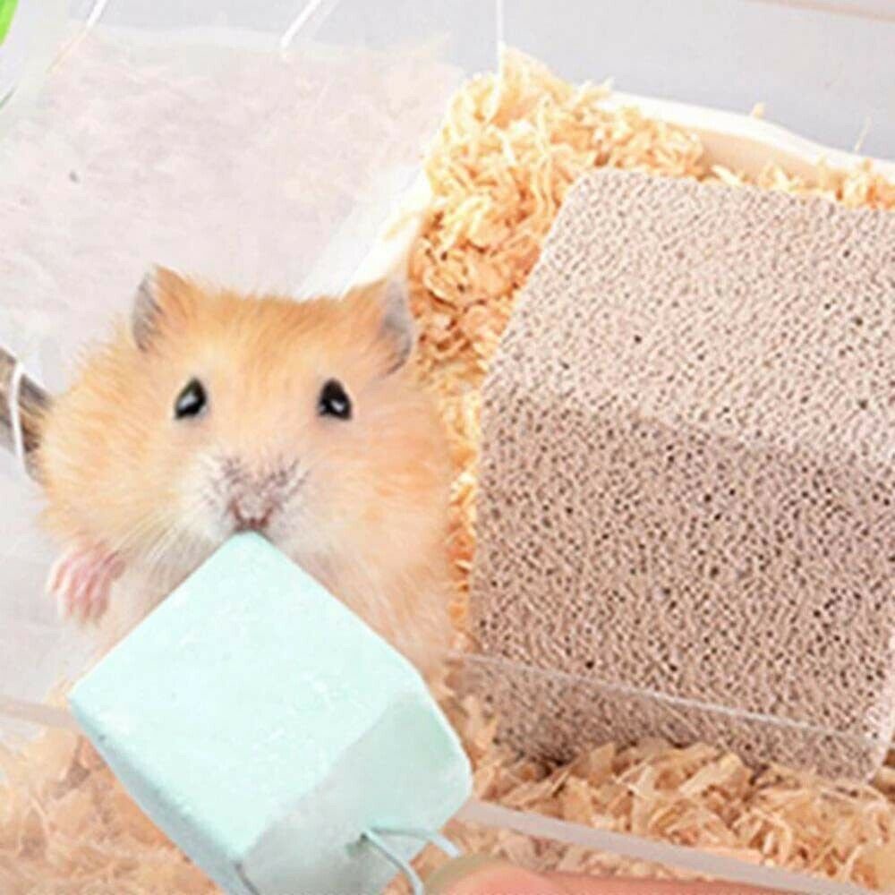 Bộ 5 Khối Rubik Mini Chất Lượng Cao Cho Chuột Hamster Và Thỏ