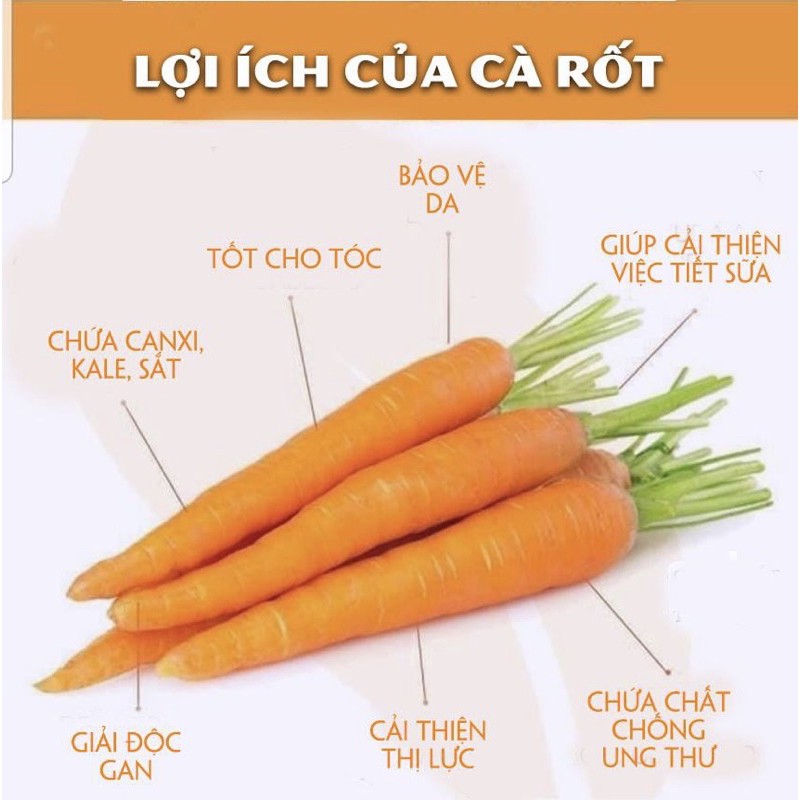 Bột cà rốt organic nguyên chất 100% dưỡng da sáng mịn, trẻ hoá, sáng mắt | Bột Natural
