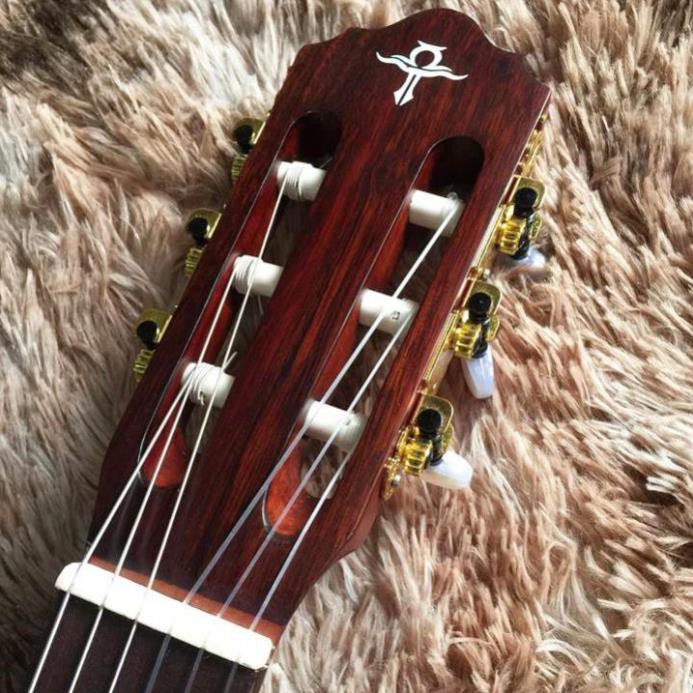 [Trợ Ship 70k] | ĐÀN GUITAR CLASSIC | MODEL: CHD-20 | HÃNG GUITAR TRẦN NỔI TIẾNG