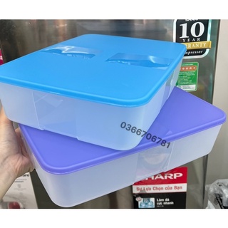 Hộp trữ đông 3.1L Tupp