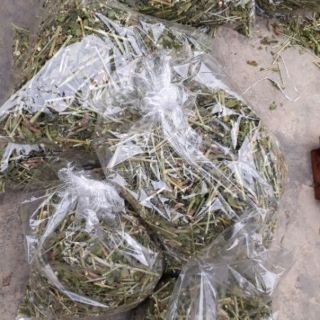 Cây mực (1 kg)