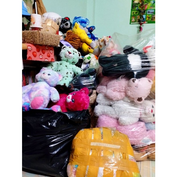 Gấu bab bear mẫu lạ