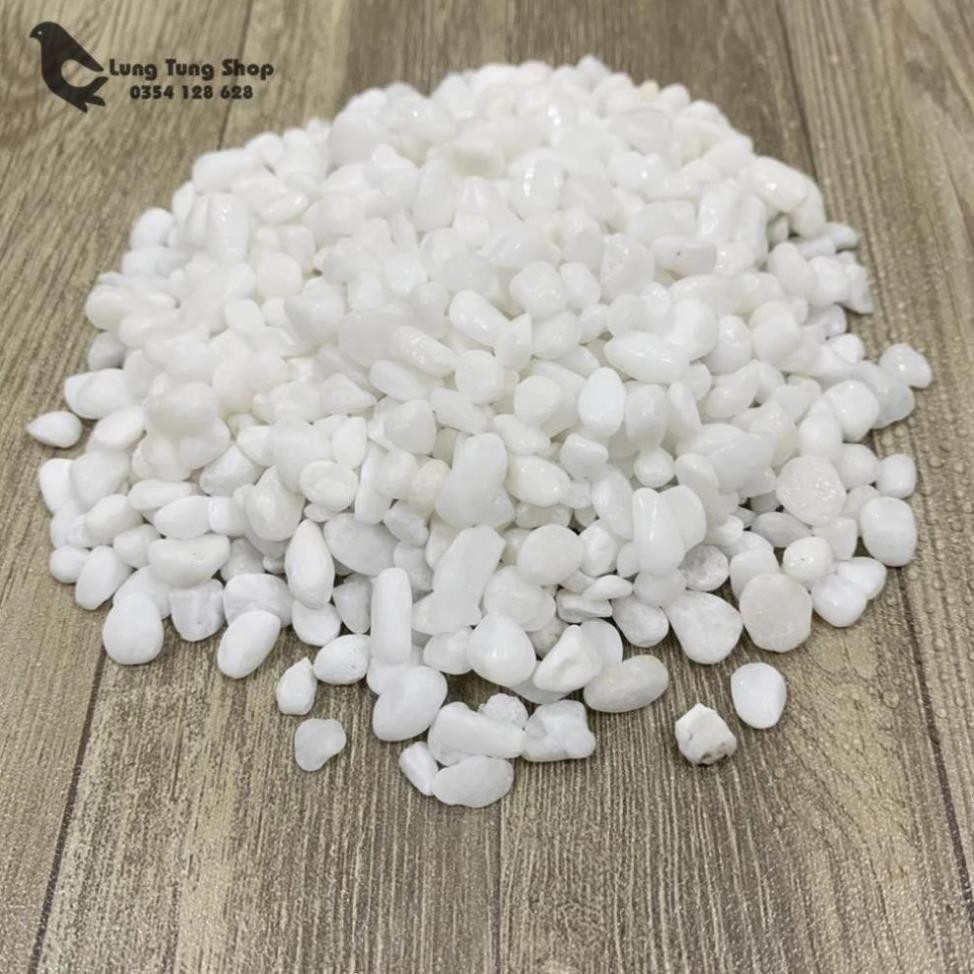 Đá sỏi trắng trang trí