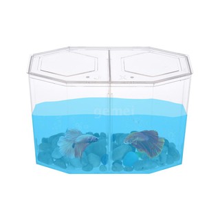 Bể cá nhỏ có ngăn chia chất liệu nhựa acrylic màu trong suốt