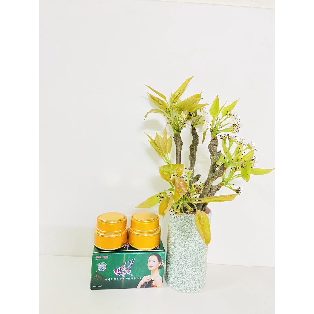 Kem mờ nám HAPPINESS DYNAMIC 2in1 mờ nám, dưỡng trắng da Hàn Quốc