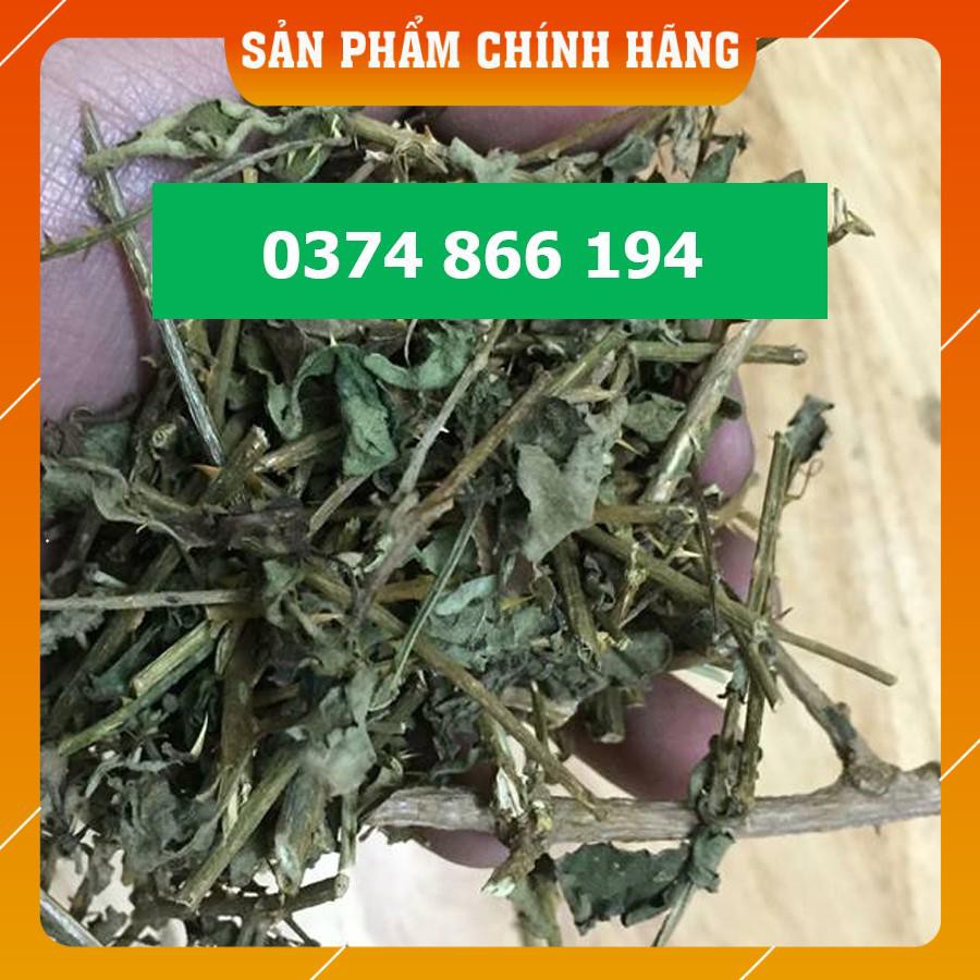 [Freeship] CÀ GAI LEO GACP Dược liệu quý có tác dụng chữa bệnh gan thần kỳ  túi 1kg