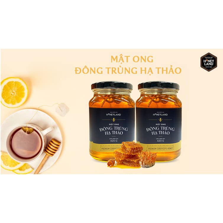 Bộ 2 chai mật ong Đông Trùng Hạ Thảo HONEYLAND 420g mật ong thiên nhiên nguyên chất tăng cường sức đề kháng