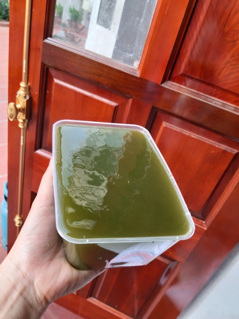 Lá găng làm thạch xanh 100g | BigBuy360 - bigbuy360.vn