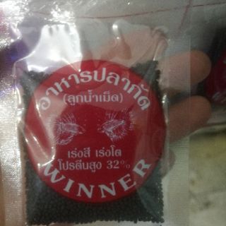 Lăng quăng sấy khô - thức ăn cho cá đá, betta