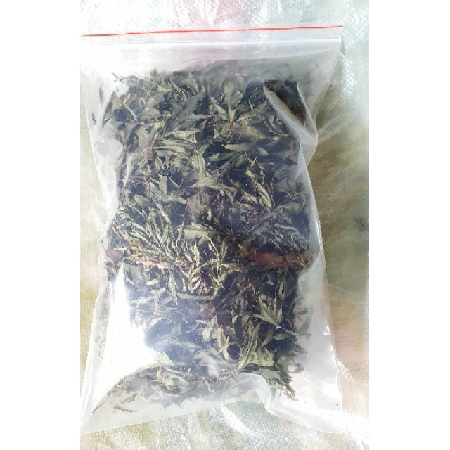 Lá đinh lăng sạch, phơi khô