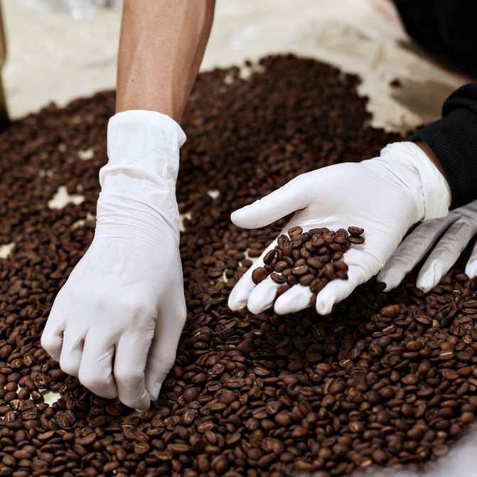 Cà phê Arabica truyền thống - nguyên chất 100% - gói 500gr - Belvico coffee