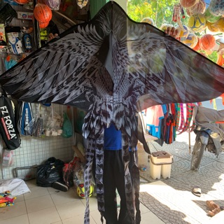 Combo:Diều Hắc Điêu Và dây( 1tay cầm và 1 cuộn)