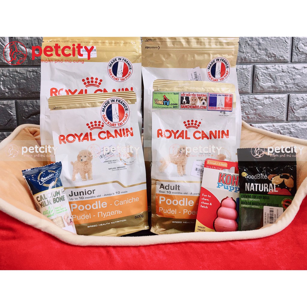 Royal Canin - Poodle junior túi 1.5kg