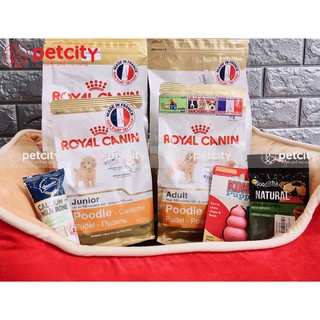 Royal Canin - Poodle junior túi 500g