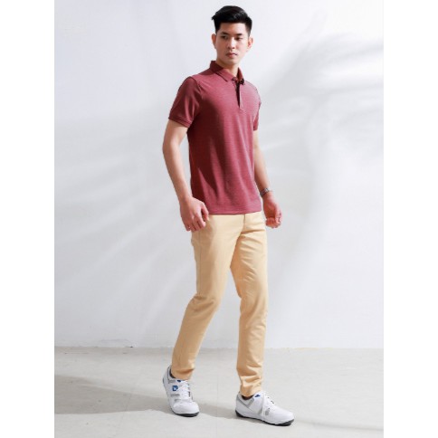 (Mã KHOB2210 giảm 20k) Áo thun nam polo ARISTINO slim 2 màu Aps032s8 size S(50-58 kg)
