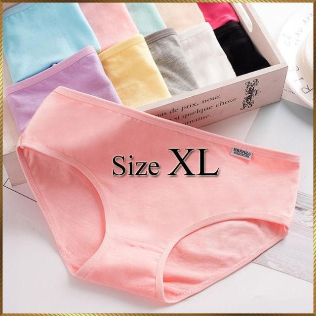 Combo 10 quần lót nữ hiệu pulo xuất Mỹ cực đẹp ( đủ các size)