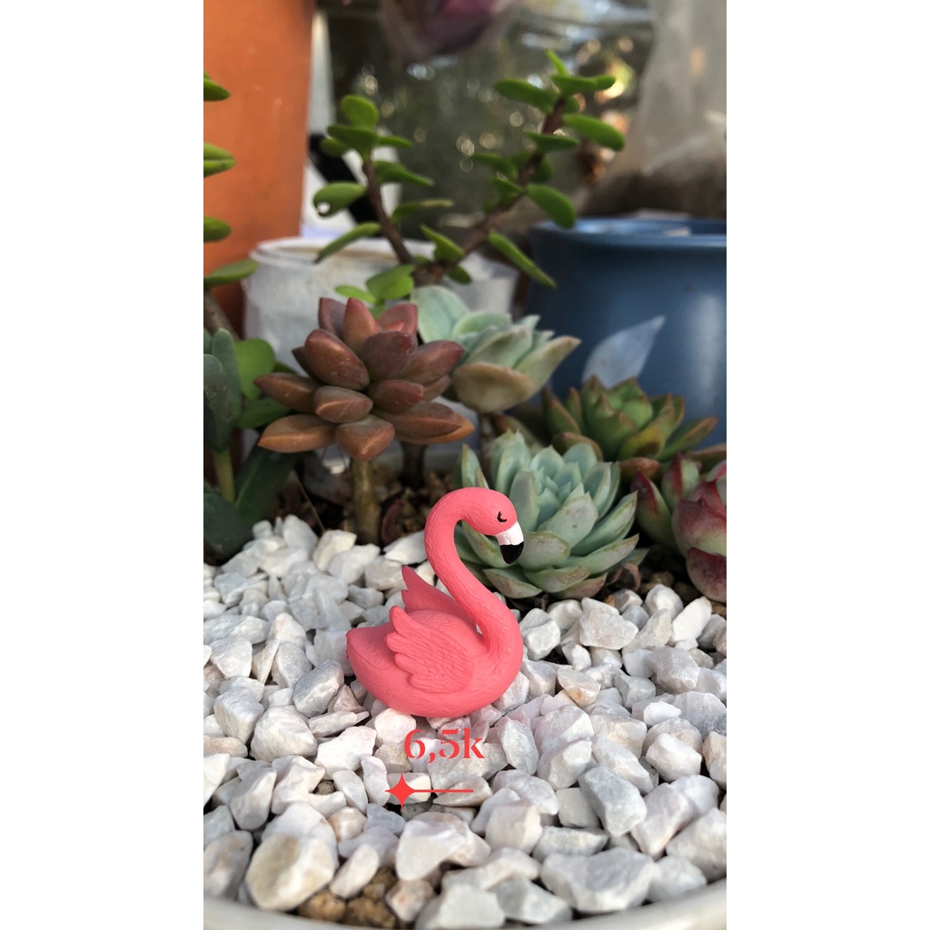 Phụ kiện sen đá các loại siêu dễ thương