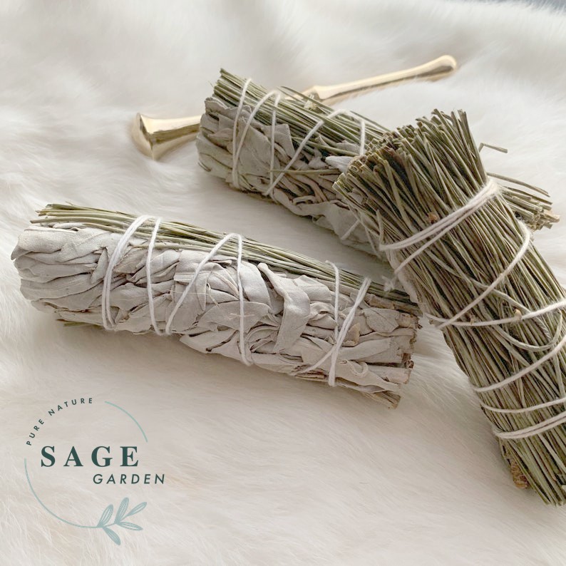 BẢO VỆ NĂNG LƯỢNG BẢN THÂN - Xô thơm trắng &amp; Thông (White sage &amp; Pine)_SAGE GARDEN