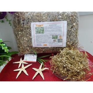 Cây nở ngày đất 1kg - hàng loại 1 uy tín