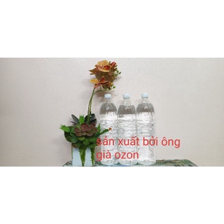 Combo 3 chai Anolyte KT nước diệt trùng, diệt virus, vi khuẩn và nấm bào tử tặng ống hút nhỏ mắt, mũi