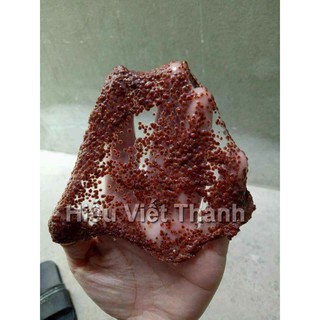 NGŨ HOA HẠT - Mặt nạ Ngũ Hoa Spa