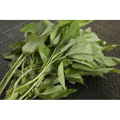 30GR - HẠT GIỐNG RAU ĐAY