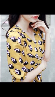Đầm vnxk