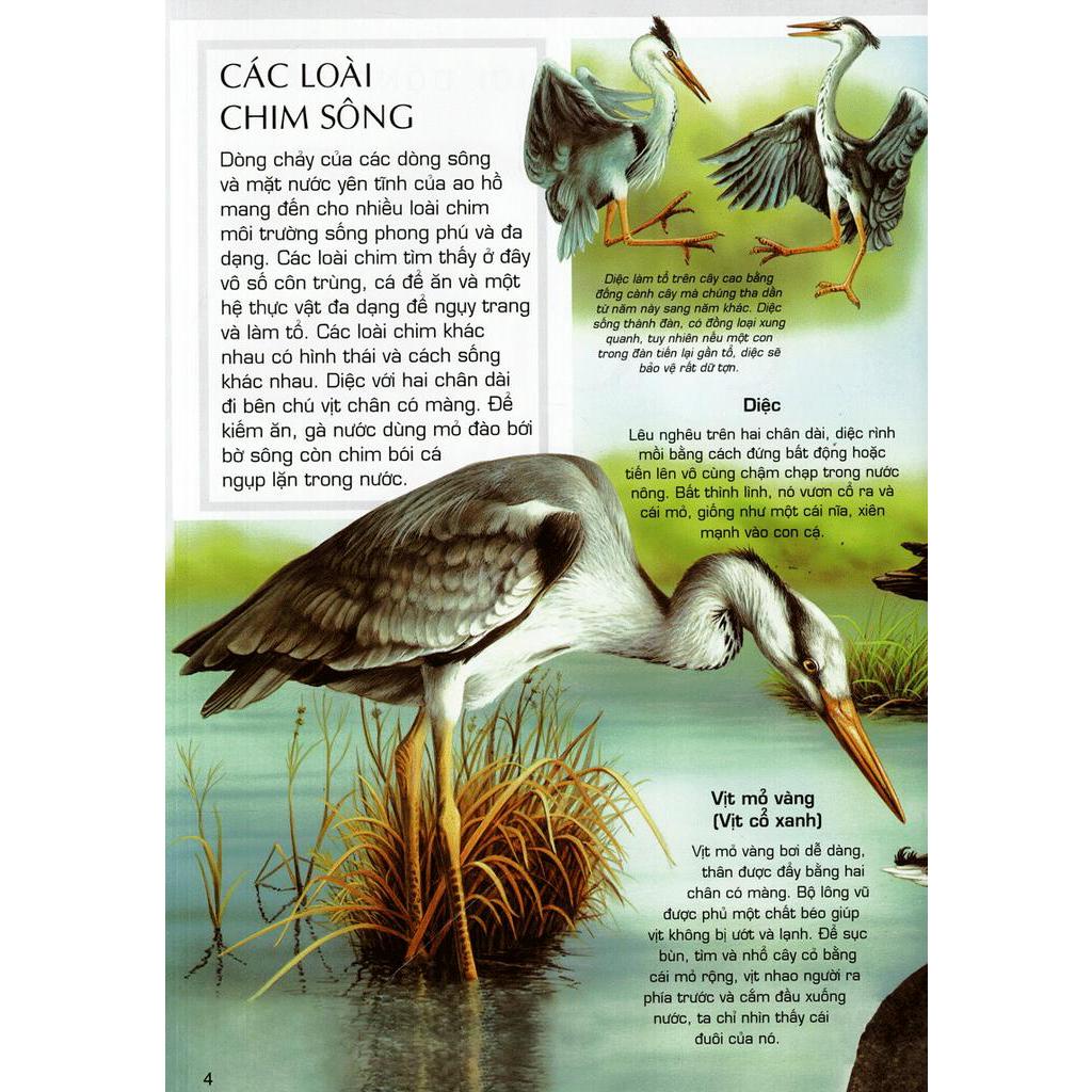 Sách Tủ Sách Thế Giới Động Vật - Các Loài Chim