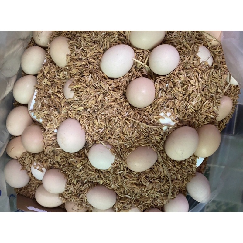 Trứng gà ta, trứng vịt đồng ở quê (10 qủa)