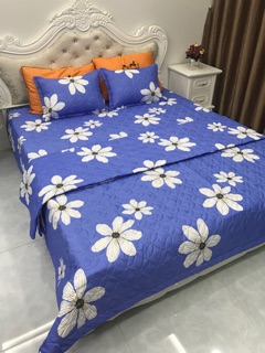 Sét drap mền trần phủ họa tiết cao cấp
