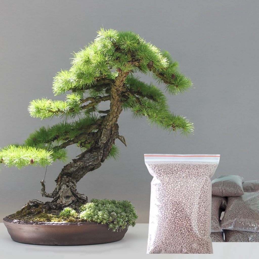 Phân Bón NPK 16-16-8+TE gói 1Kg