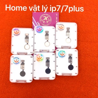Nệm home vật lý 7g/7plus/8/8 plus