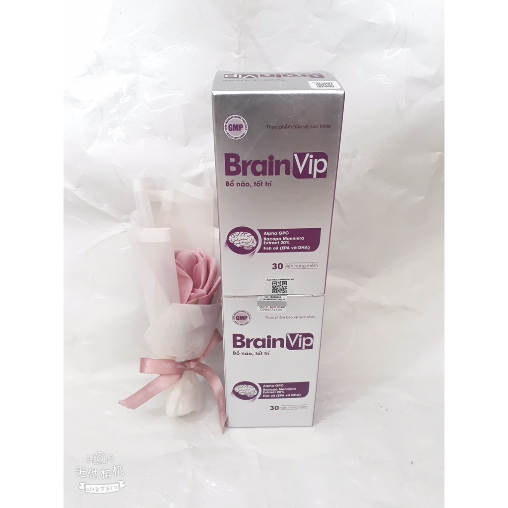 Viên bổ não, tốt trí BRAIN VIP, giúp phát triển bộ não, tăng cường tuần hoàn não, giúp tăng cường trí nhớ