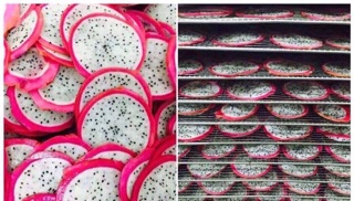 Detox trái cây sấy khô