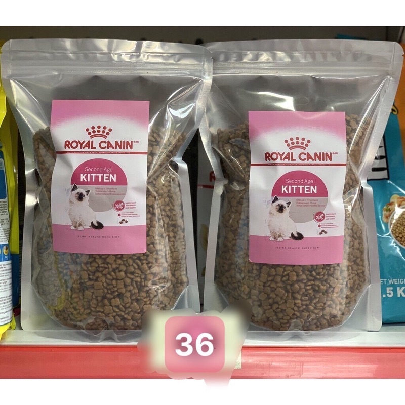 Hạt cho mèo royal cain kitten 36 gói 1kg