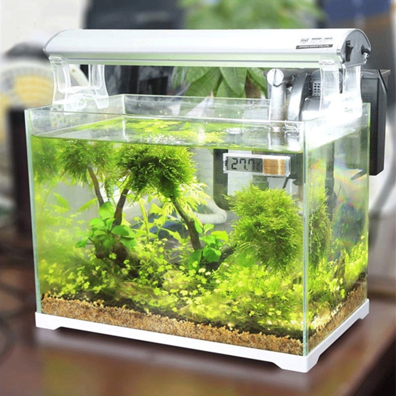 Màn Hình LCD Kỹ Thuật Số Không Dây Cho Bể Cá Terrarium