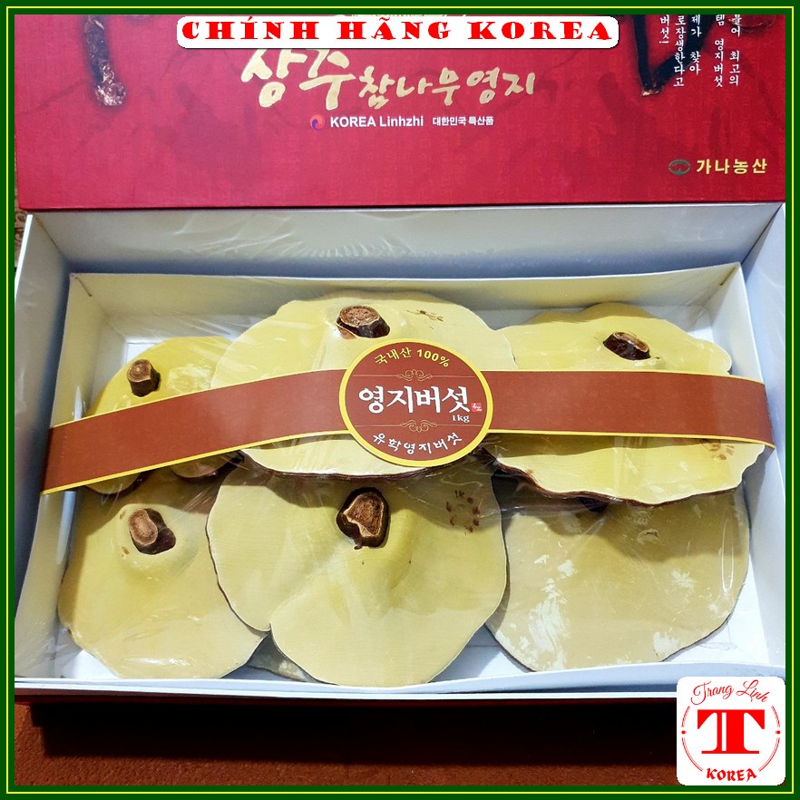 Nấm linh chi hàn quốc thượng hạng - Nấm hộp đỏ Vip 1kg - Thải độc, thanh lọc cơ thể, phòng ung thư - tranglinh