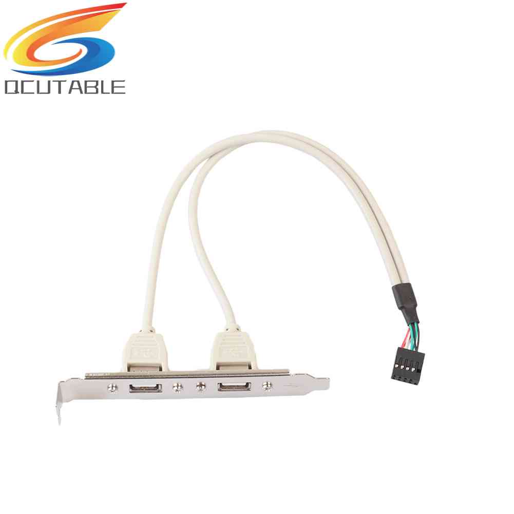 Cáp ChuyểN MạCh Chủ 2 CổNg USB 2.0 Sang 9 Pin Cho PC