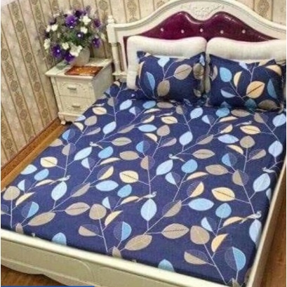 Bộ Drap 4 món ga gối 1m/m2/m4/m6/m8 - màu ngẫu nhiên