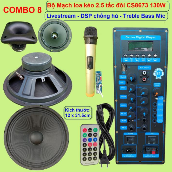 Mạch loa kéo 2 tấc rưỡi đôi CS8673E 130W LIVESTREAM - DSP lập trình chống hú, chỉnh Bass Treble Micro