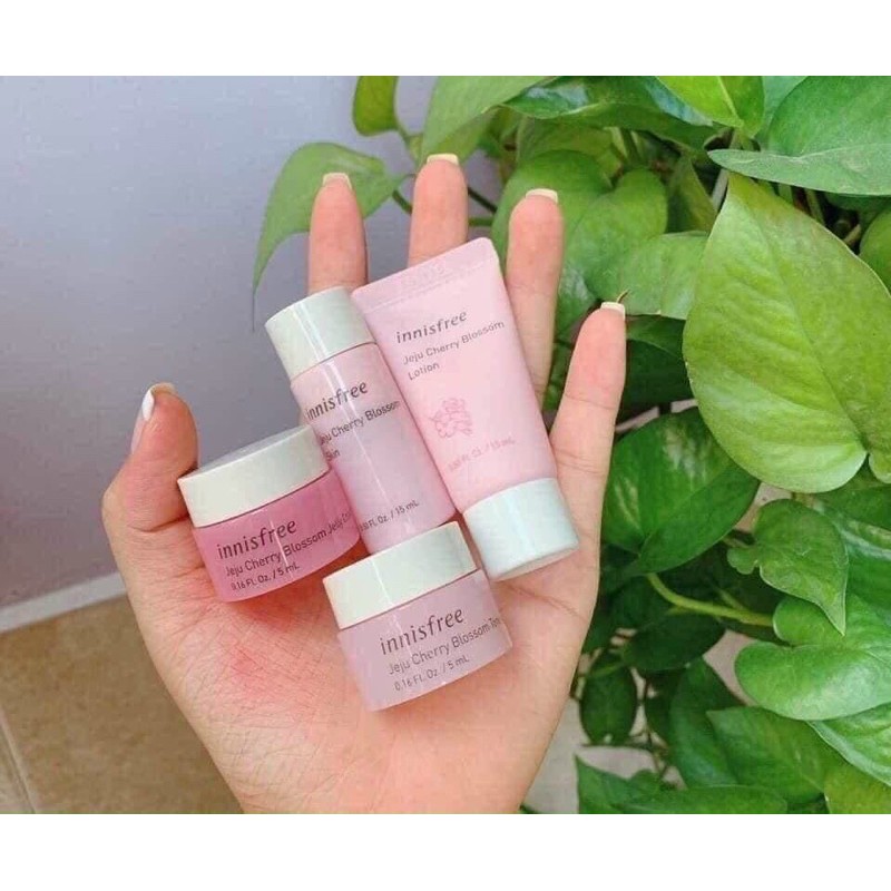 Set 4 món skincare innisfree mini hoa anh đào