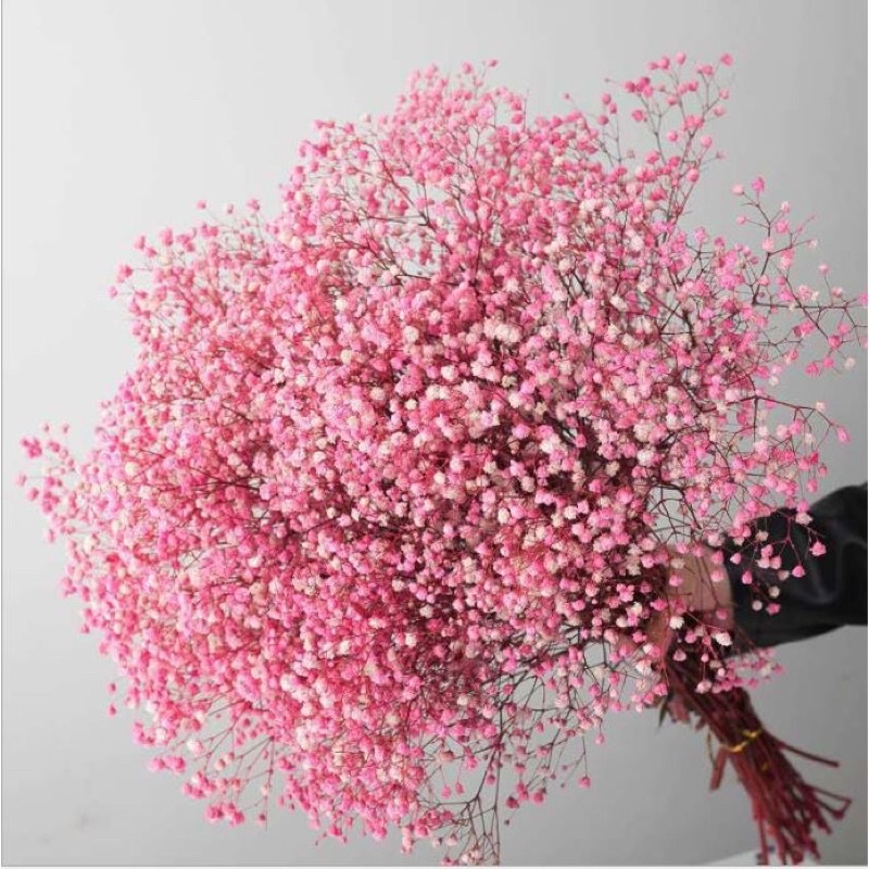 Hoa Baby khô/ Hoa khô trang trí/ Decor cắm hoa