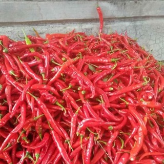 Ớt bột nhà trồng