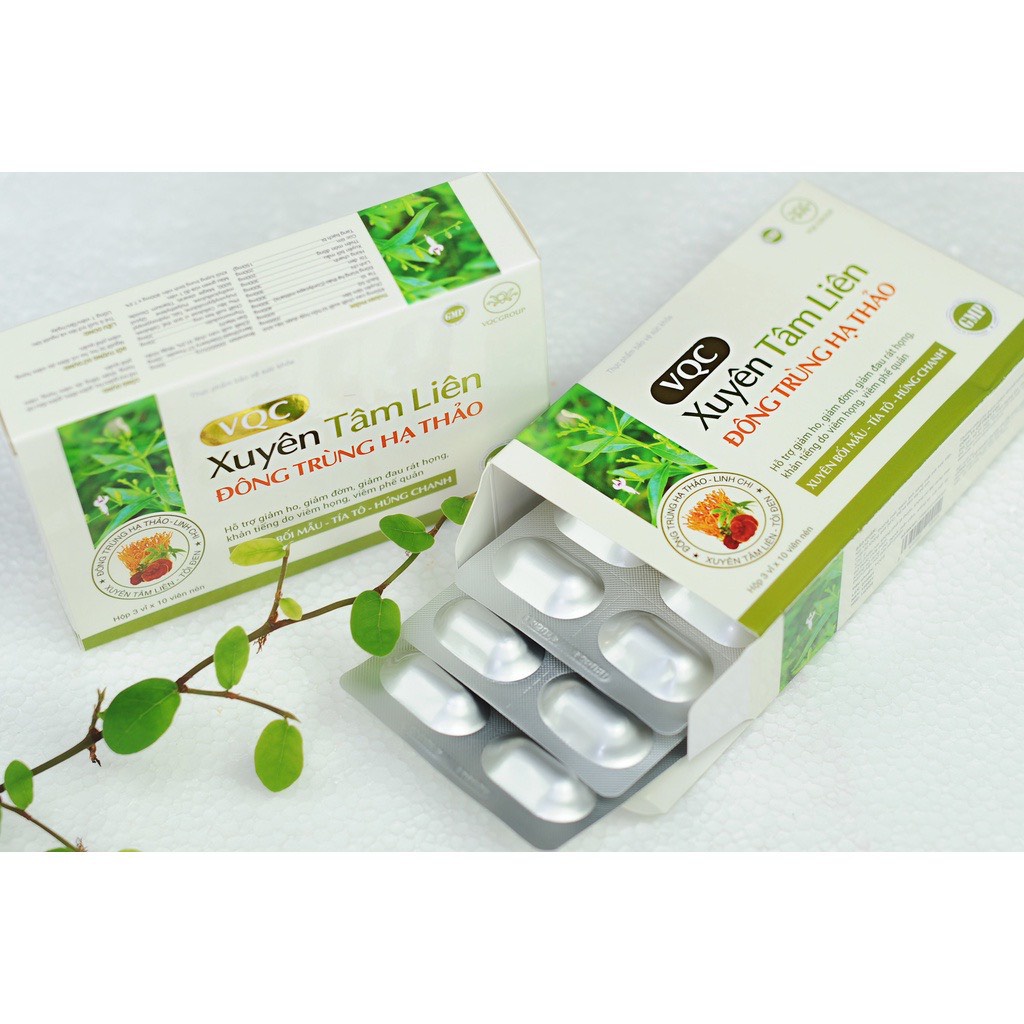 Thực phẩm bảo vệ sức khỏe Xuyên Tâm Liên - Đông trùng hạ thảo VQC Group, hỗ trợ điều trị cho F0, F1