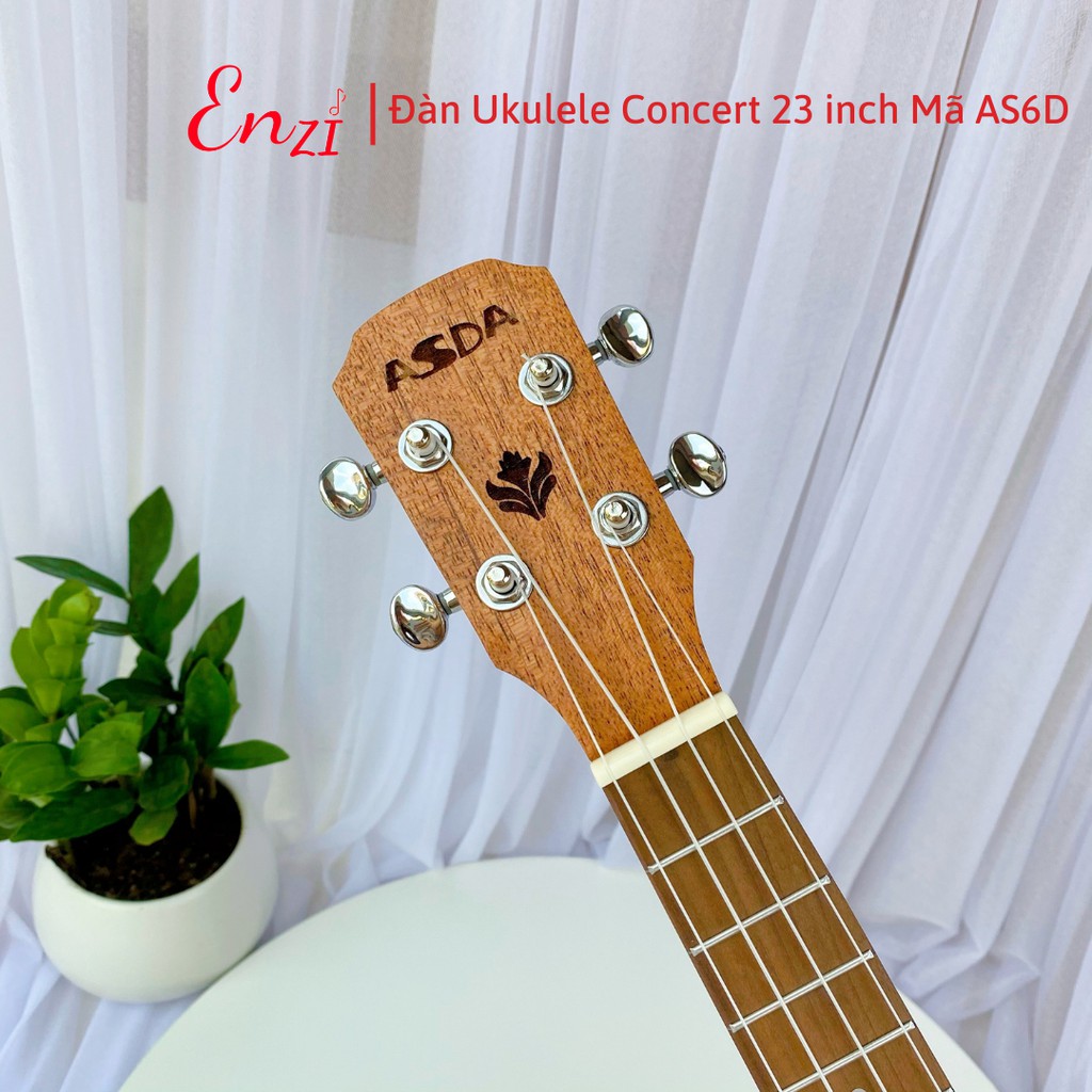 Đàn ukulele concert AS6D Enzi 23 inch gỗ mộc trơn khóa đúc giá rẻ cho bạn mới bắt đầu tập chơi