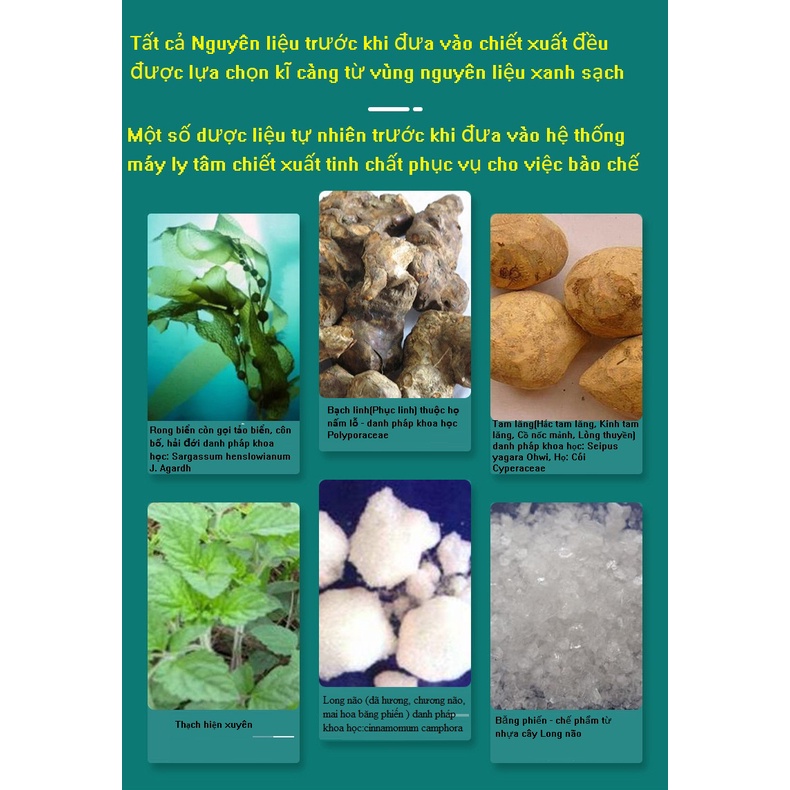 Kem chống giãn tĩnh mạch, tinh chất thảo dược thiên nhiên 100%, chống suy giãn, giảm đau, ngứa