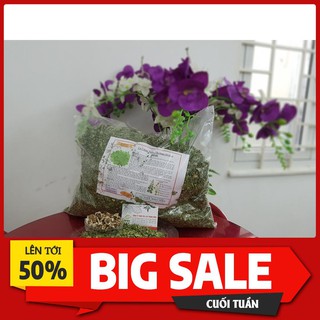 Combo 2Kg Lá Chùm Ngây Khô Nguyên Chất - Thảo Dược Uy Tín