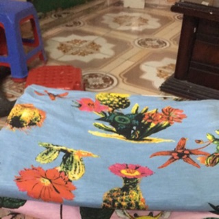 Vải c diep vu